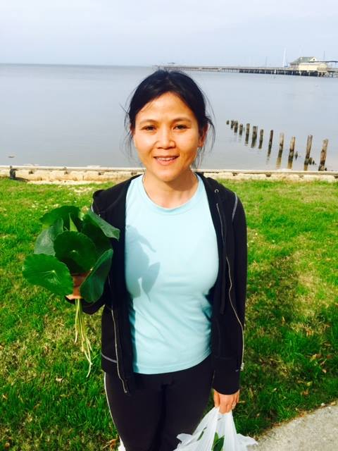 The Dollarweed is bigger here than in Vietnam