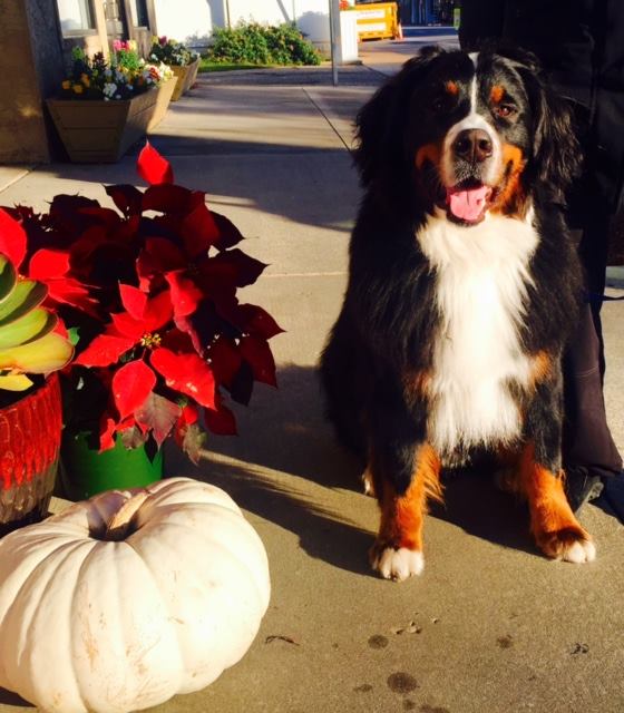 He eats better than us, but we have no kids and it is cheaper than paying for college