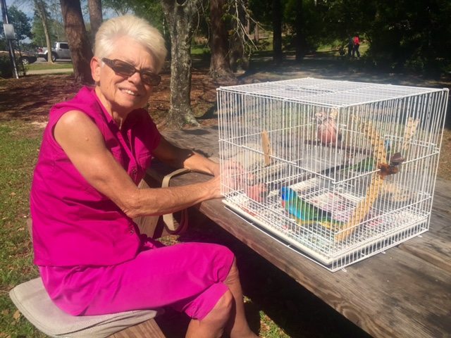 Everyone else has cats and dogs. I have birds