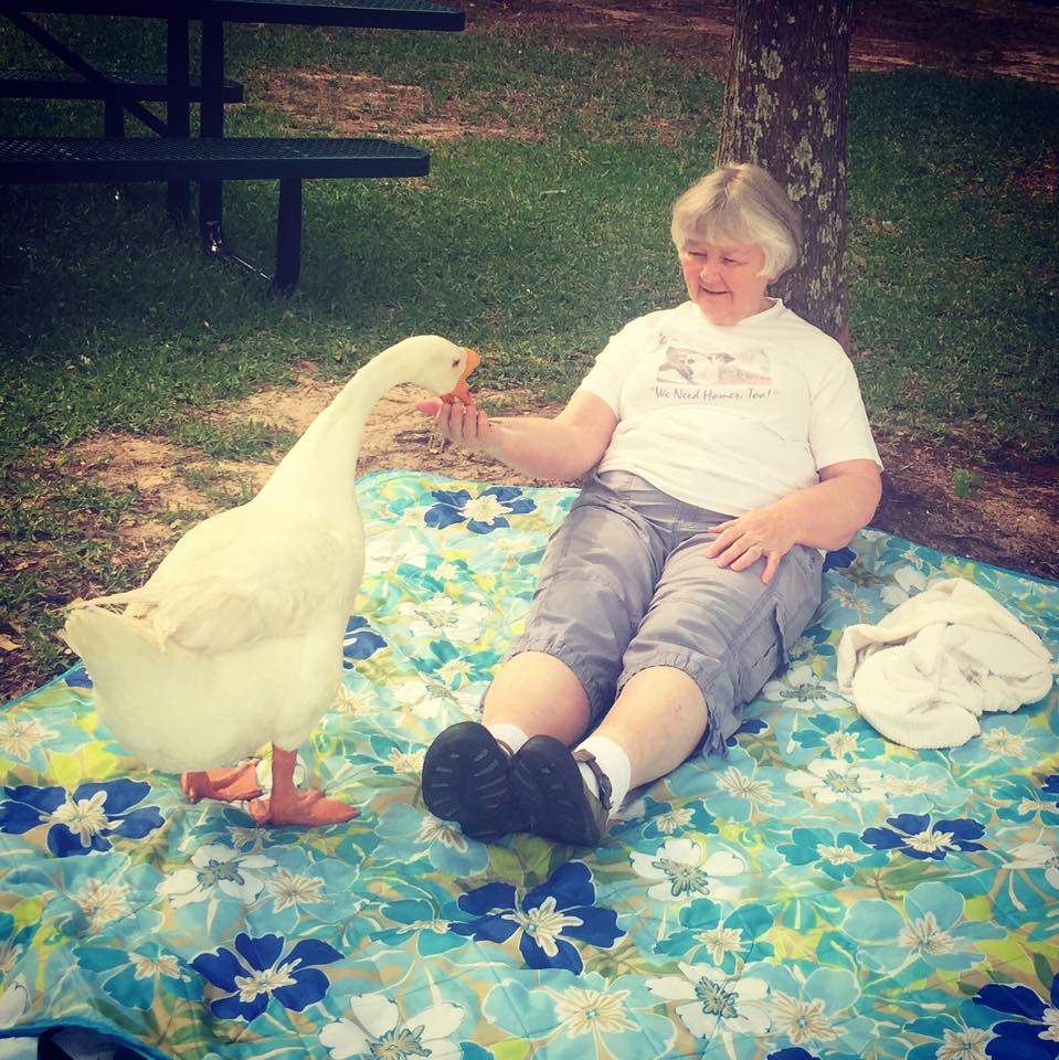 He picked me. That was at least 10 years ago and I have come to the park almost every day to visit him