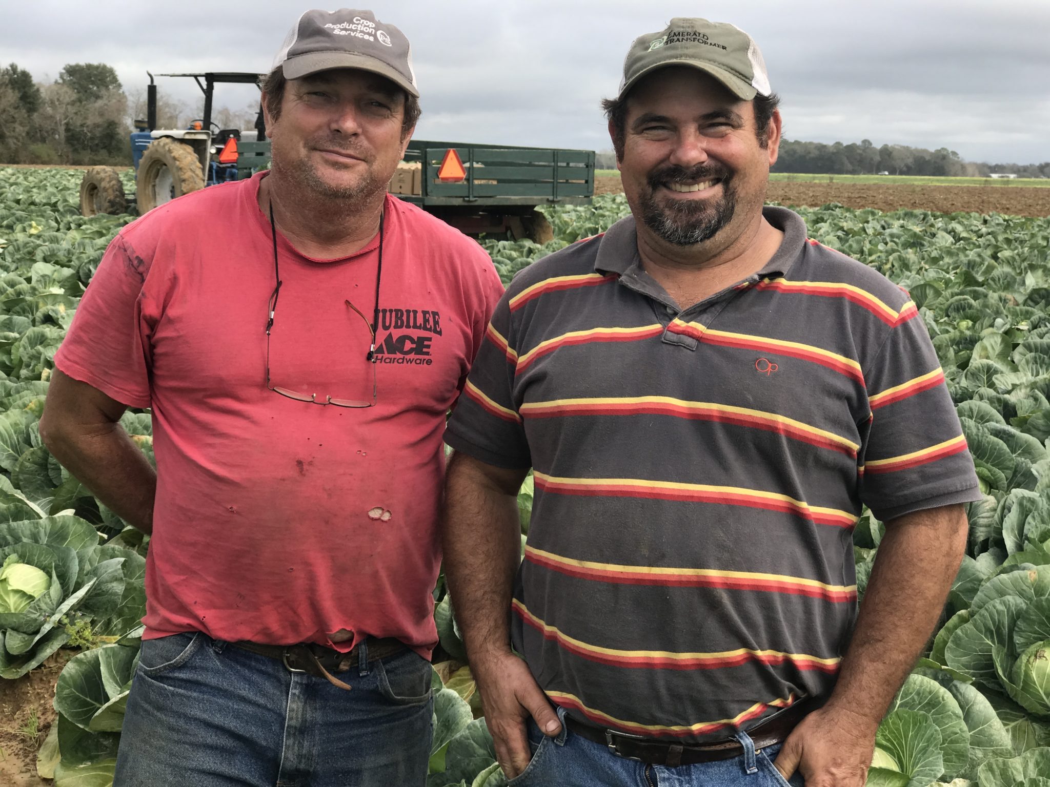 Food comes from these fields. It doesn’t come from Walmart
