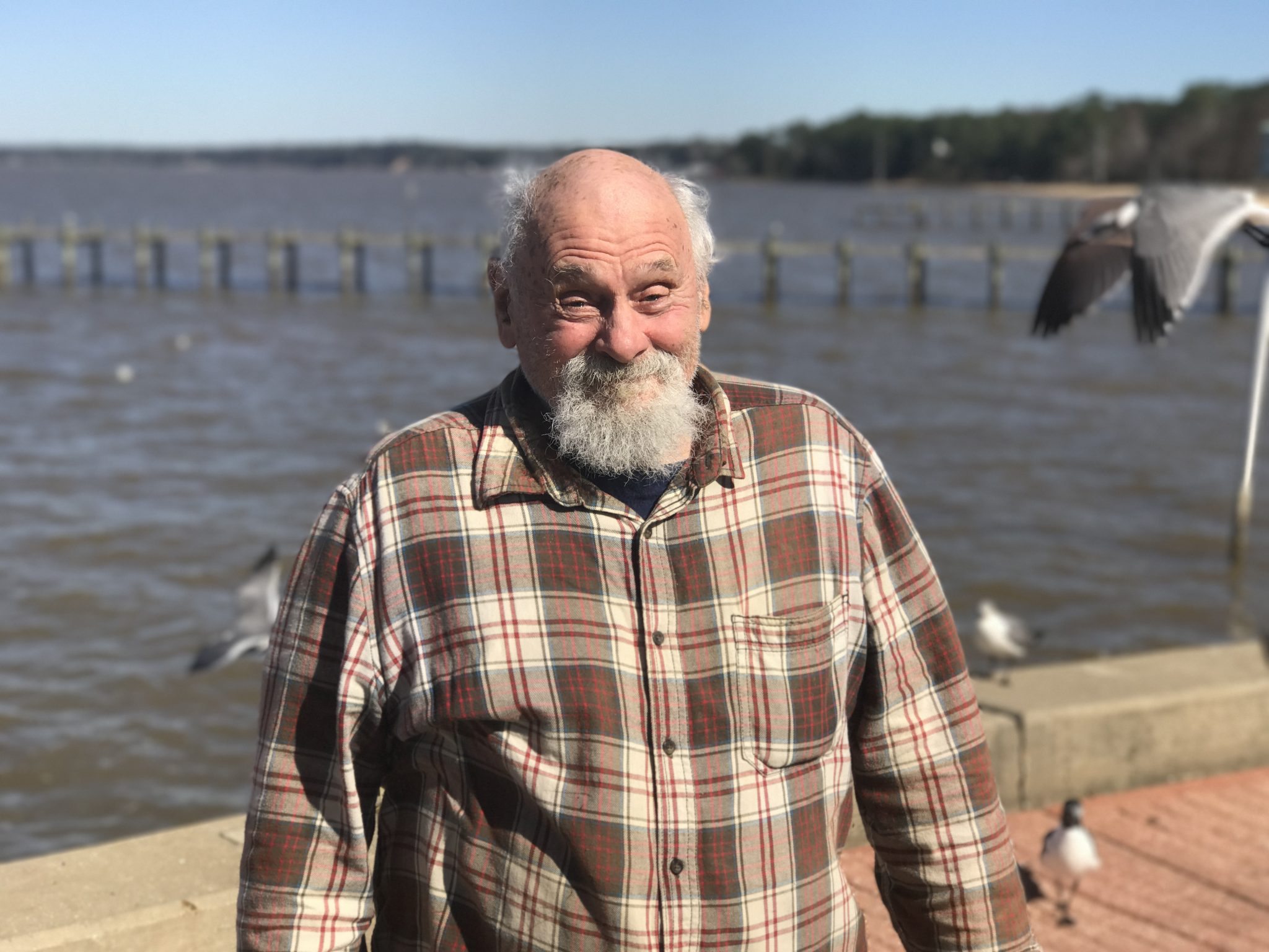 I am the Birdman of Fairhope and Pensacola