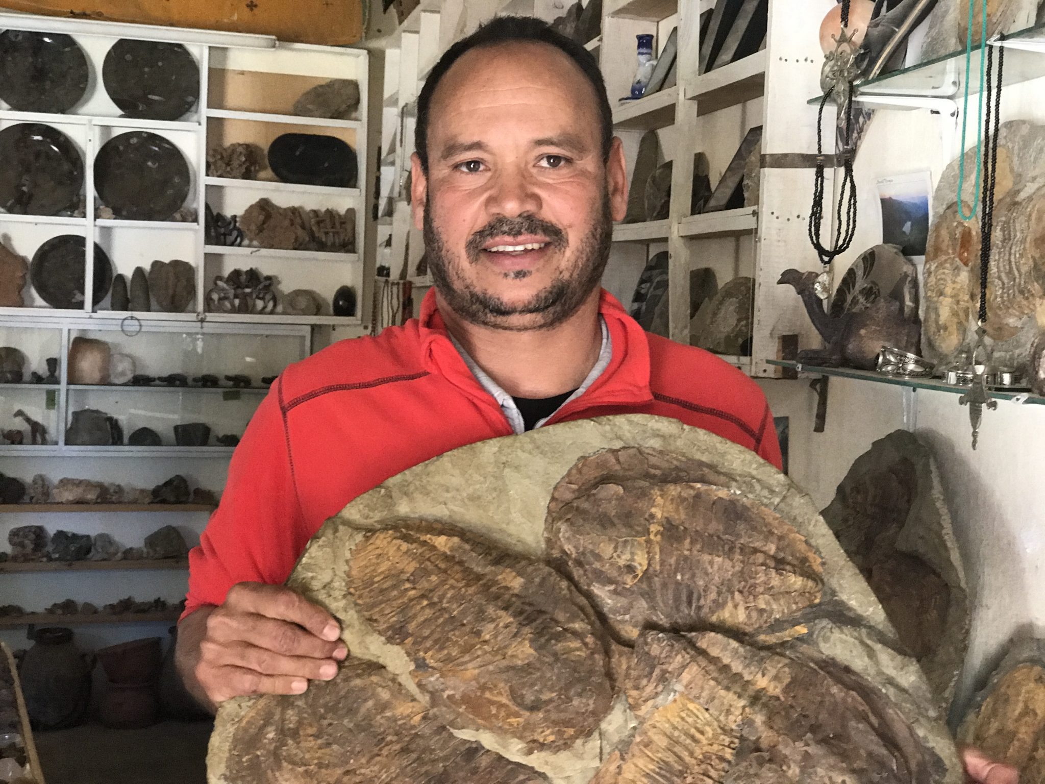 The oldest fossil I have found is 570 Million years old