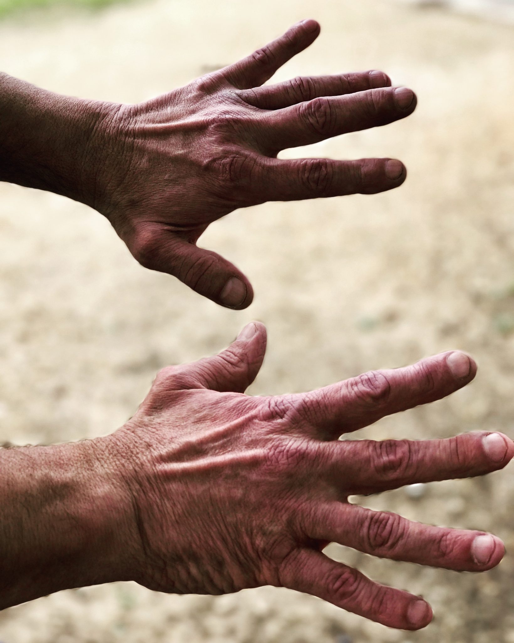 I am a loner and stranger in this land