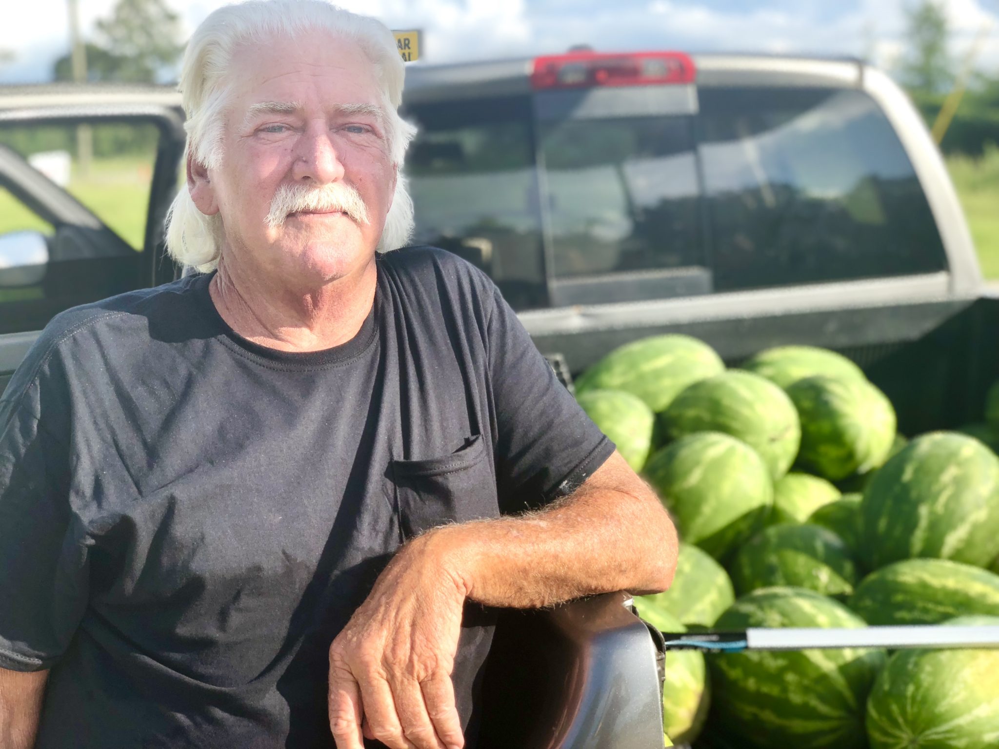 If I can see an alligator, I can call him