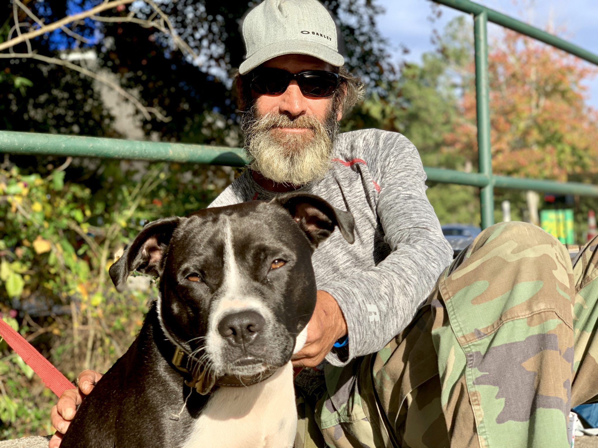 I have walked across the country scattering the ashes of my family