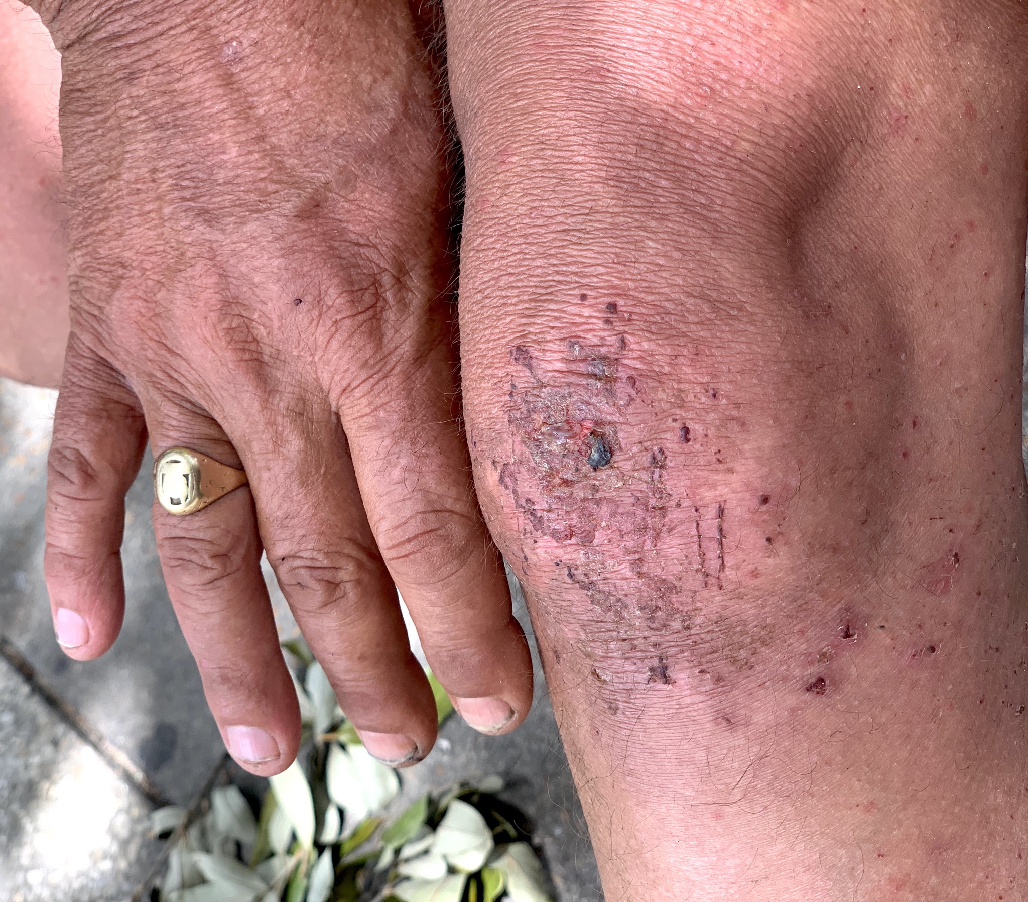 This is not the life I wanted