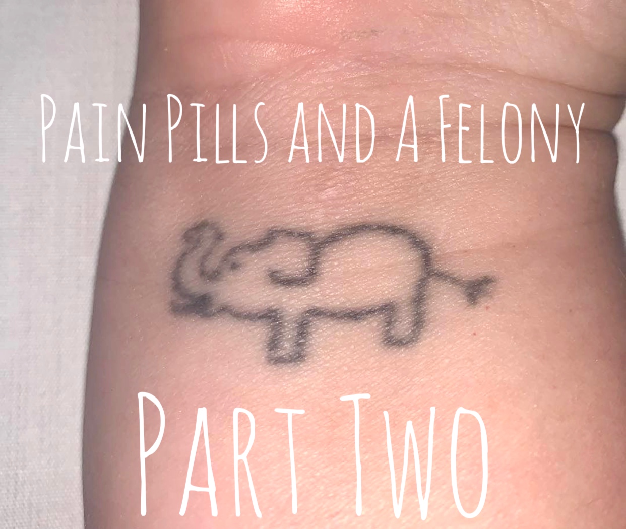 Pain Pills and a Felony, Part Two
