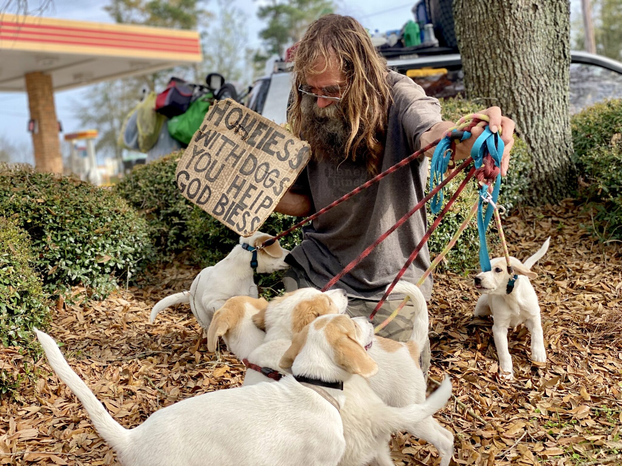 We are going to Arizona where I bought some land