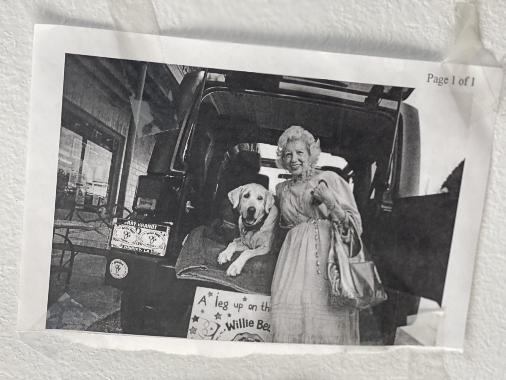 I gave up trying to save the world because I was outnumbered. But I made my mark where I was