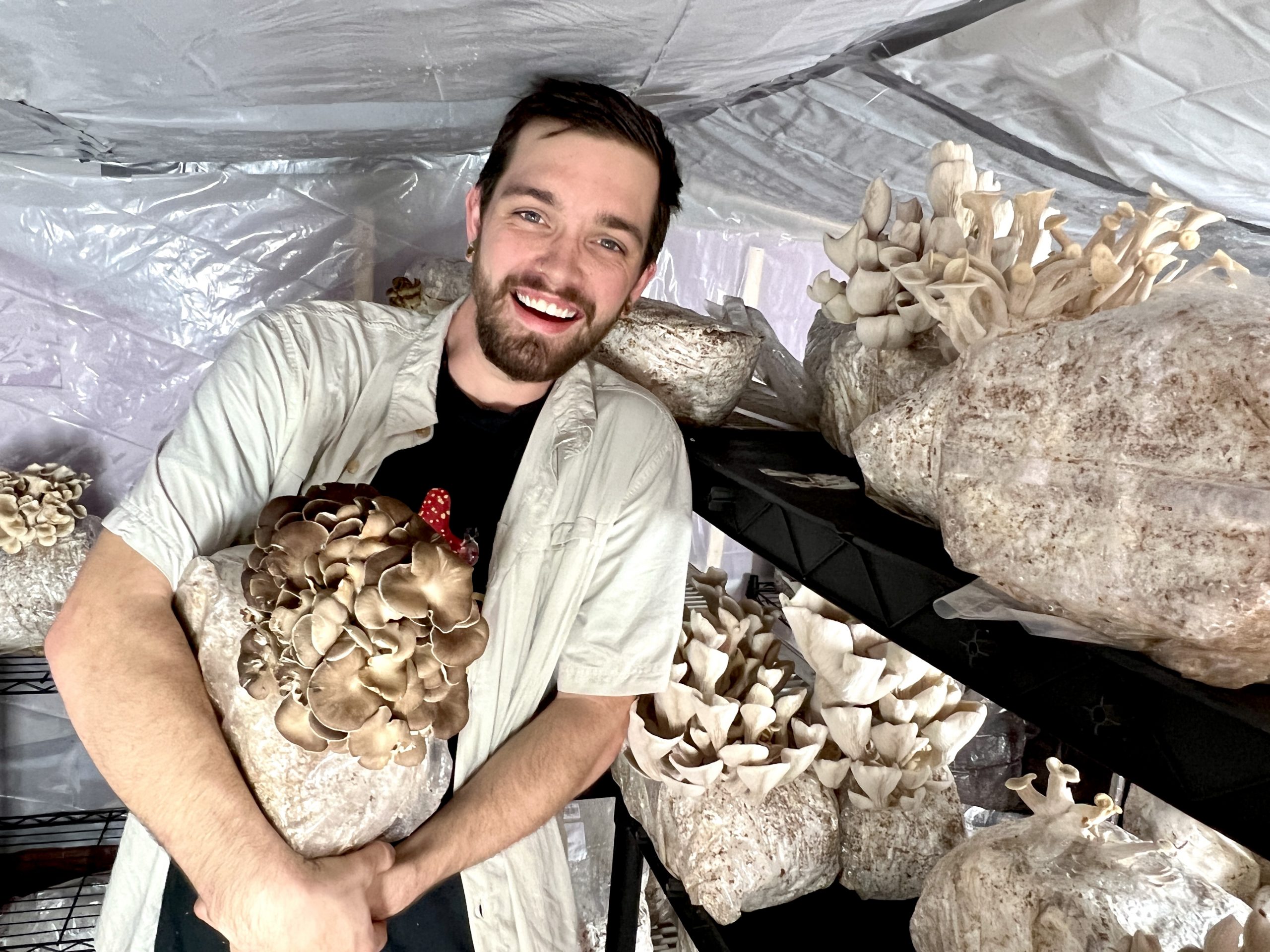 Growing mushrooms is growing into a business