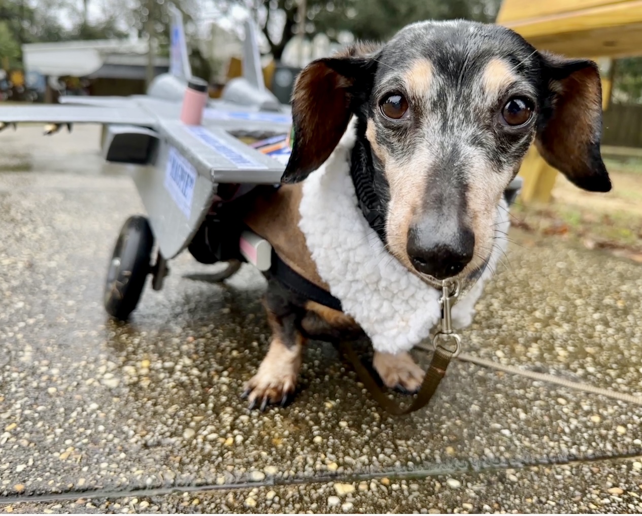 I hope people see that if Maggie can get out and enjoy life, they can, too