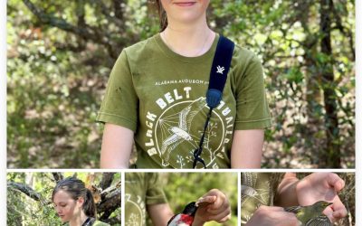 Holding a bird is like carrying a little bundle of joy and sometimes a little bit of anger