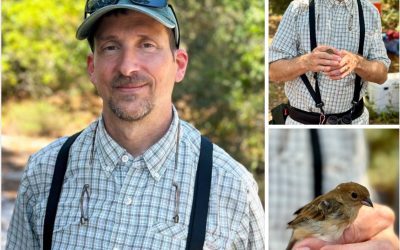 My career started focused on saving species and preventing extinction, but it evolved into saving humanity because we are closely tied to nature