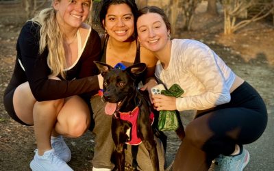 This is Happy Hour, where you can check out a dog from the Tuscaloosa Metro Animal Shelter