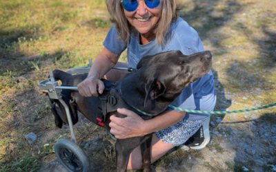 I used to fret and worry about the animals I couldn’t help. Now I can sleep at night