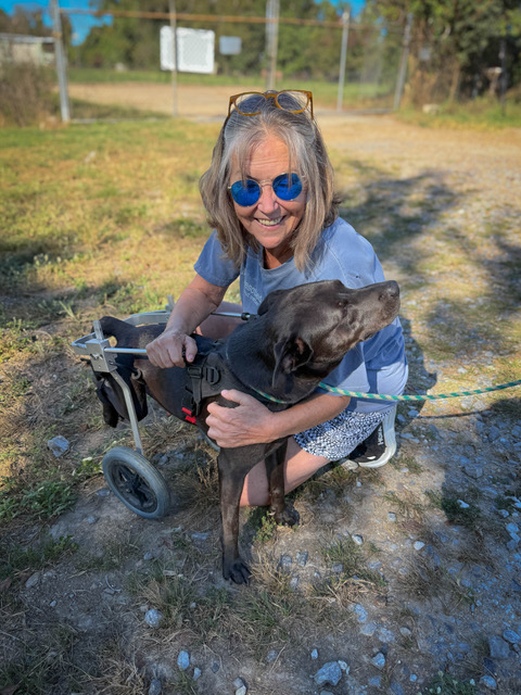 I used to fret and worry about the animals I couldn’t help. Now I can sleep at night