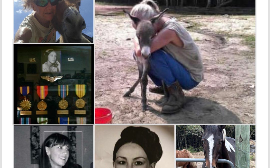 I loved the emergency room, and the Vietnam War was the biggest ER in the world. Why couldn’t I go, too?