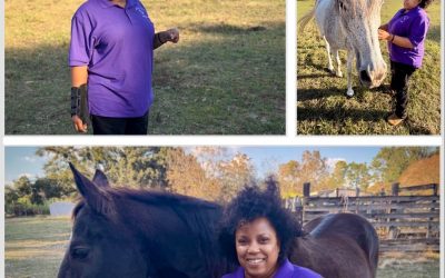 Horses helped my heart heal