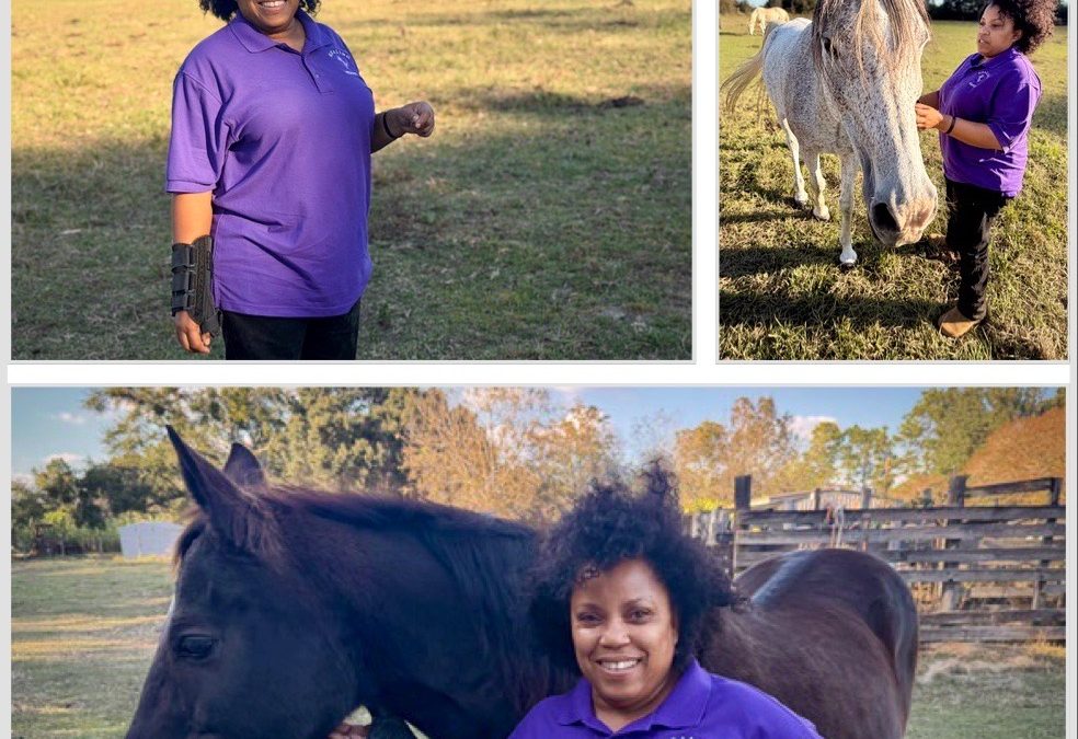 Horses helped my heart heal